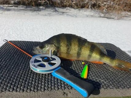 P fishing