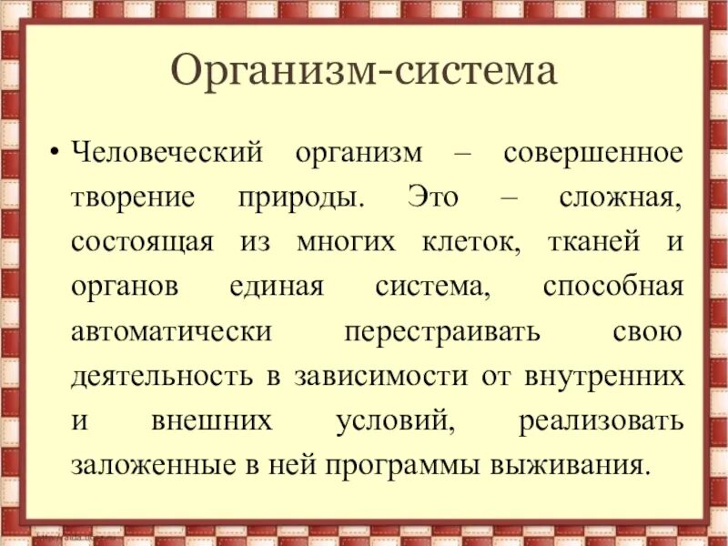 Виды работ совершаемых организмом. Совершенный организм. Сложные организмы. Самый совершенный организм. Сложный организм состоящий из