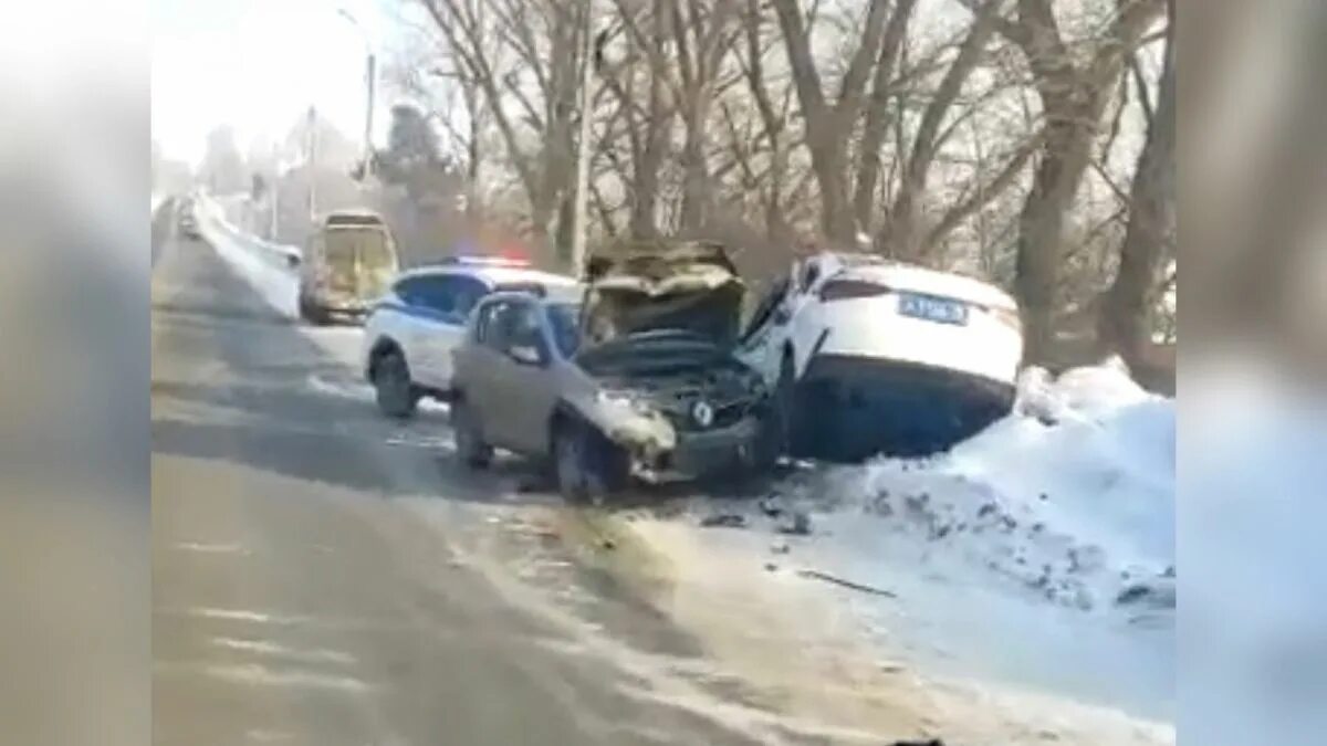 Кошка которая попала в аварию. ДТП В Ярославской области.