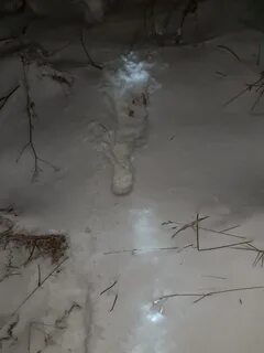 Странные следы