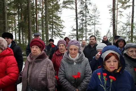 Лебяженское городское поселение