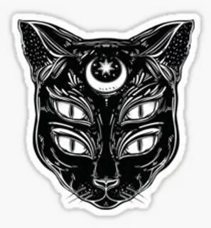 Кошки с четырьмя глазами