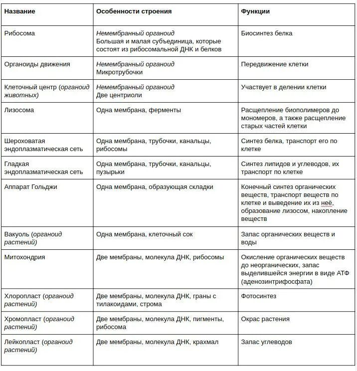 Какова функция органоидов. Строение и функции органоидов животной клетки таблица. Название строение и функции органоидов клетки таблица. Органоиды животной клетки таблица 10 класс. Строение клетки органоиды и их функции.