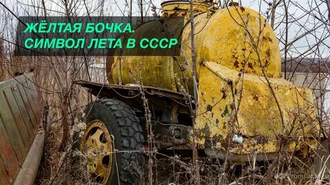 Желтый бочок