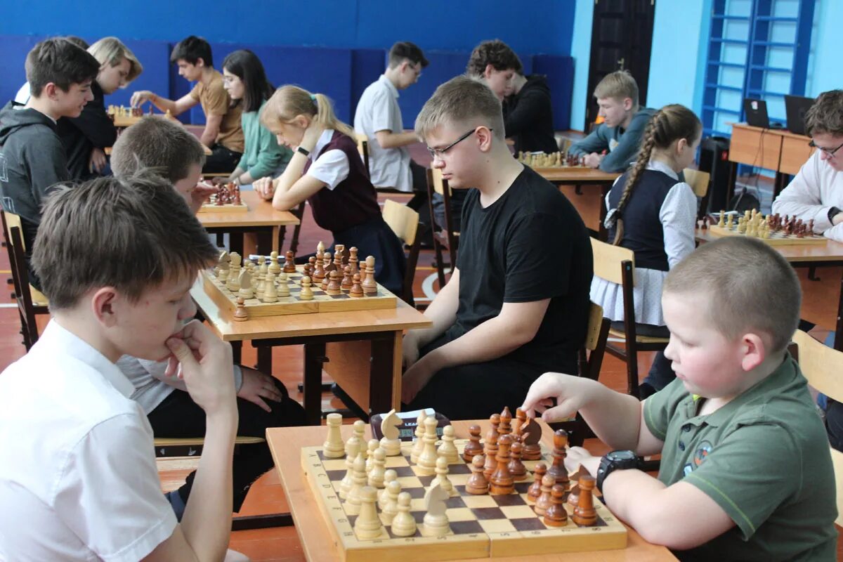 Школа 22 чапаевск. Районные соревнования по шахматам белая ладья самара. Никитин анатолий павлович красноярск шахматы. Юный стратег. Школа юных стратегов владимира квинта.