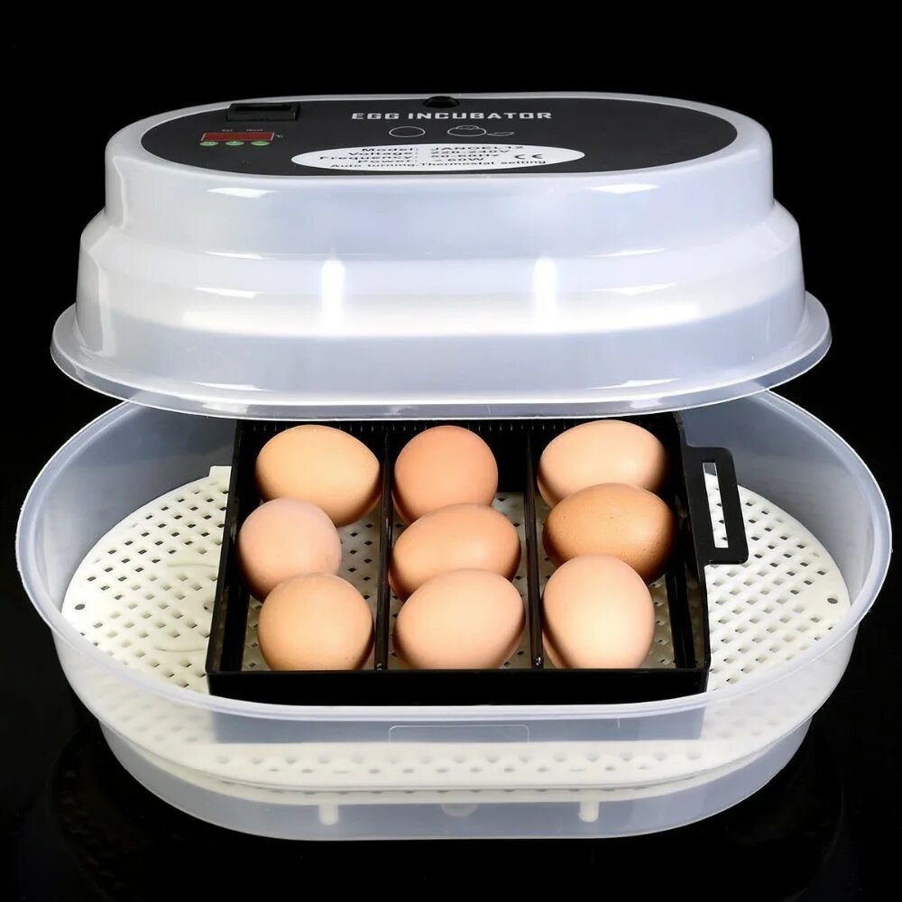 Инкубатор 12 Egg incubator. Инкубатор Egg incubator. Mini Egg incubator на 12 яиц. Инкубаторы на 10 яиц автоматические.