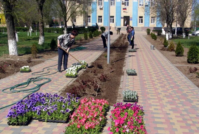 чернышковский район районы волгоградской. р. чернышковский волгоградской. парк в р. чернышковский район волгоградской области.