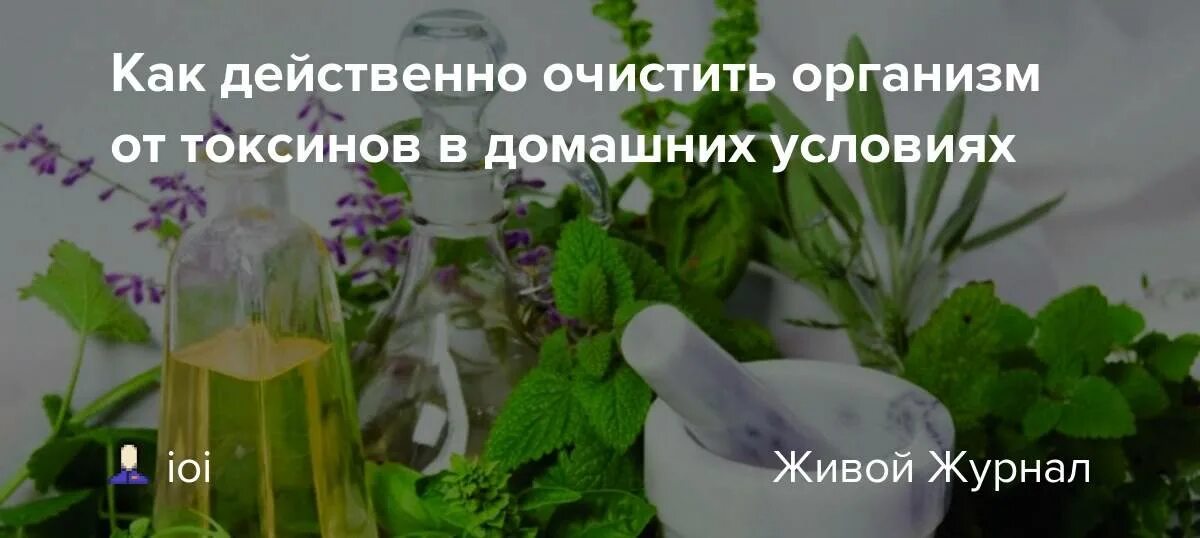 Очистка печени от шлаков. Очистить организм в домашних условиях. Эффективное очищение. Очищение организма от шлаков и токсинов. Как очистить организм от шлака домашних условиях.