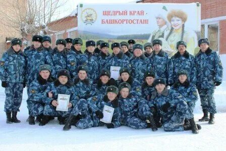 Дпо муц