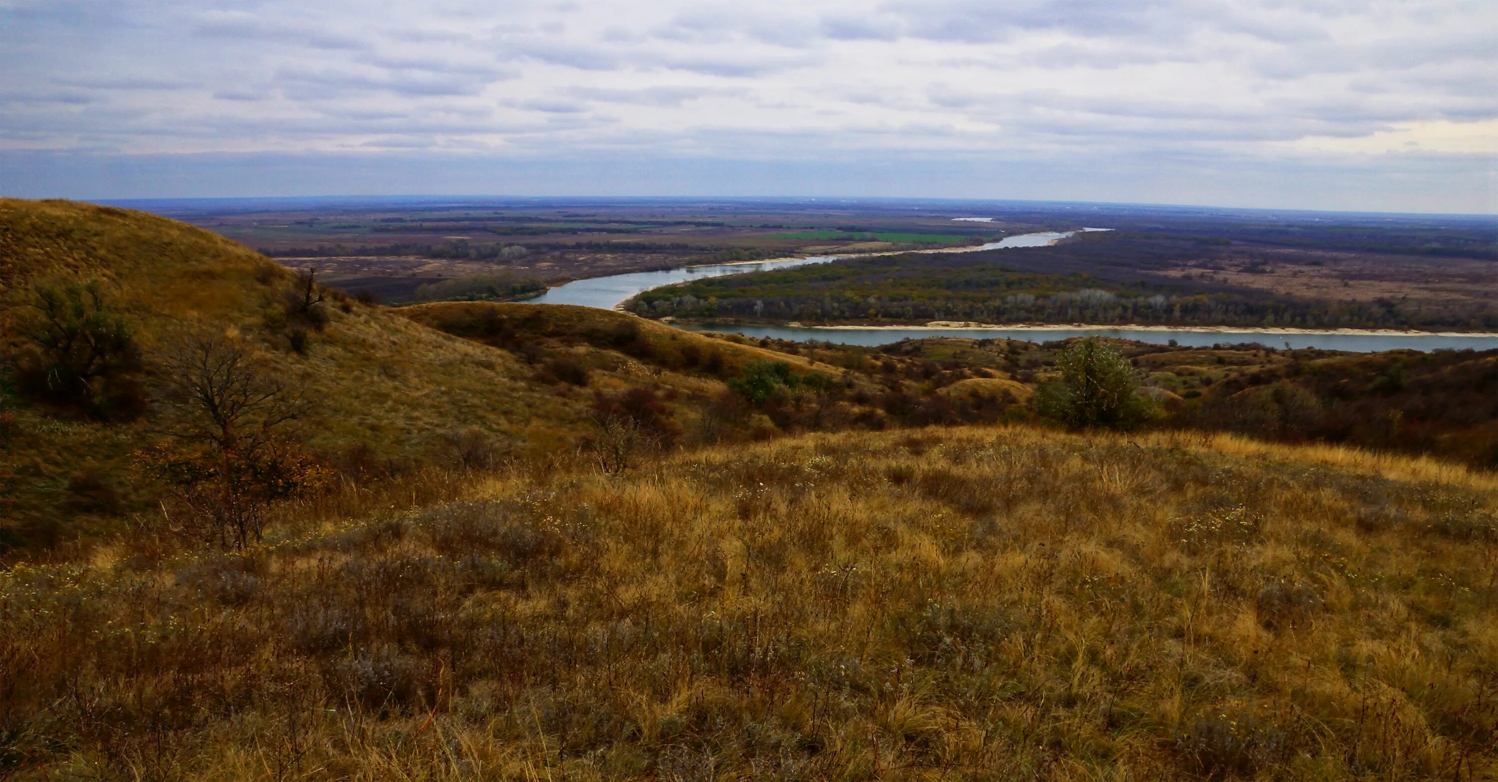 северский донец река. аргамач пальна елец карта. козлов вал в древности. северный дон. дивногорье задонье.