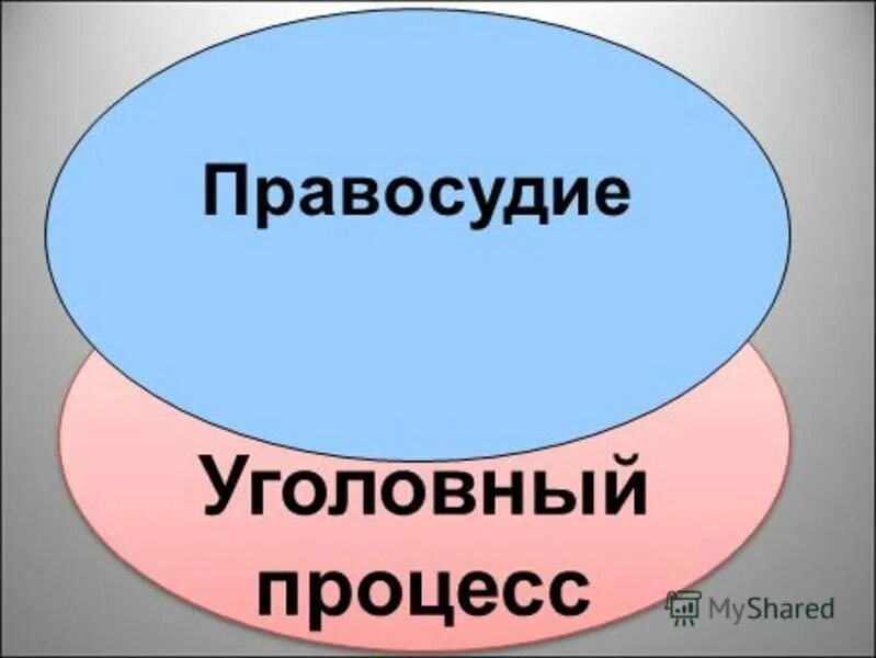 принципы судебного судопроизводства. принцип осуществления только судом. понятия уголовный процесс и правосудие. судебный процесс в рф. принцип осуществления правосудия судом.