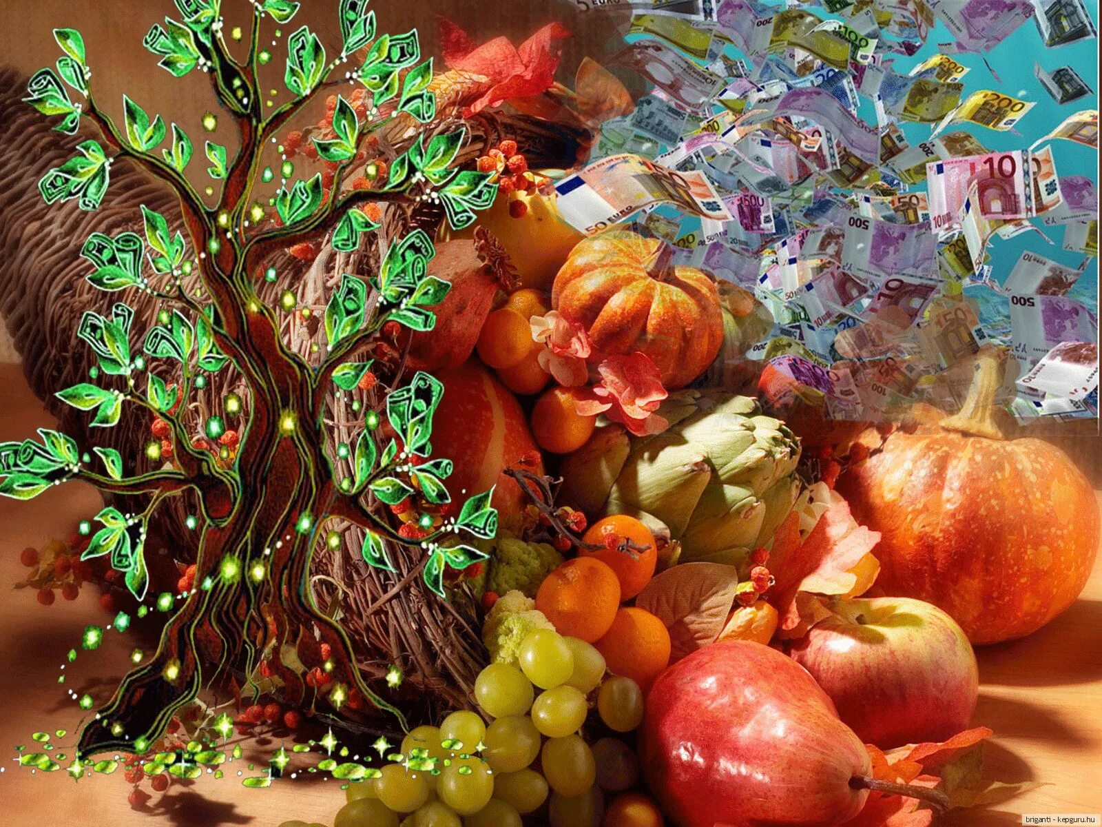 программа изобилие