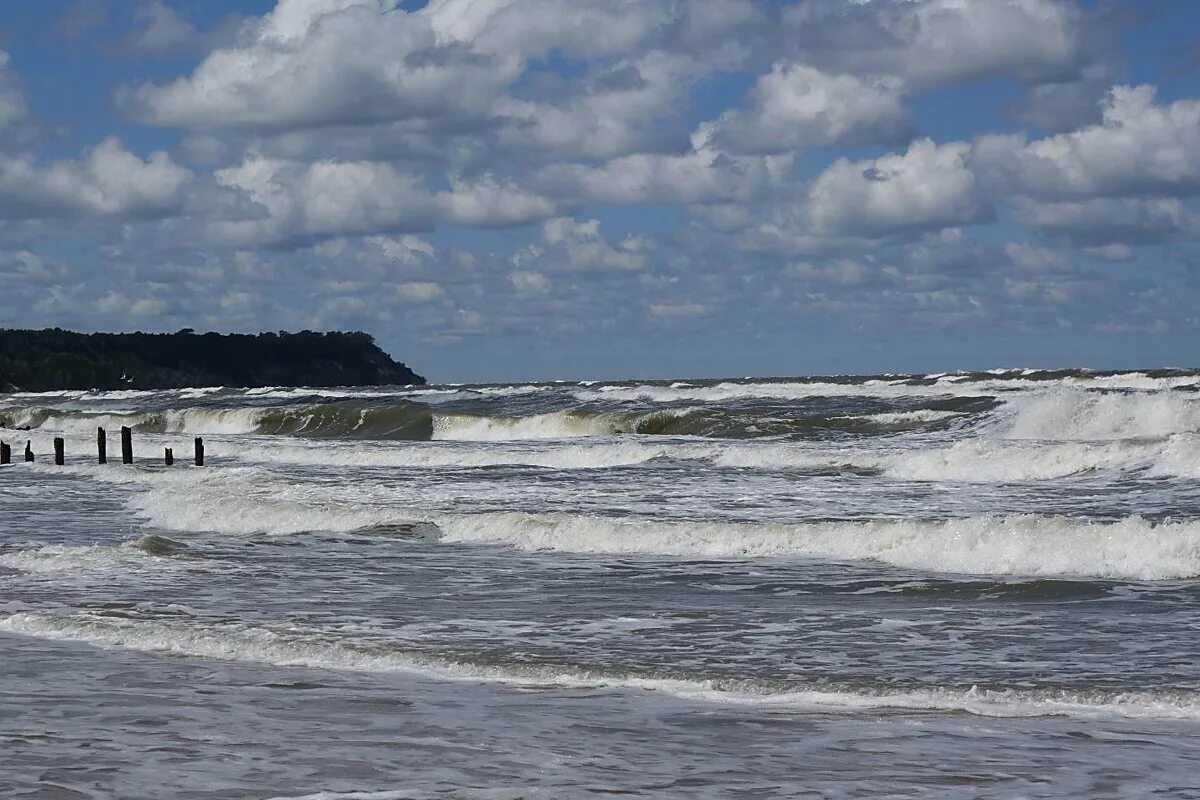 эстония балтийское море. балтийское море калининград осень. балтийское море люди. балтийское море калининград сосны. балтийское приморье.