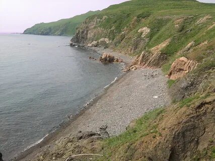 Остров рейнеке