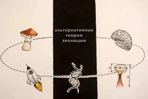 Теория альтернативы