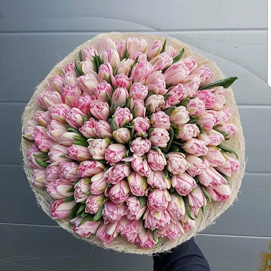 тюльпан пионовидный розовый. тюльпан пионовидный микс.