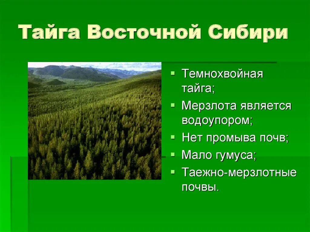 Почвы тайги и их свойства. Тайга Восточной Сибири типы почв. Почвы Восточной Сибири 8 класс. Восточно Сибирская Тайга растительность. Почвы растительный мир Северо Восточной Сибири.