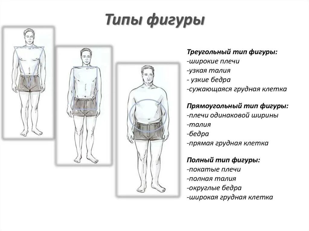Сколько см плечи у мужчин. Измерение тела. Узкие плечи у мужчин. Мужская и женская фигура отличия. Замеры тела.