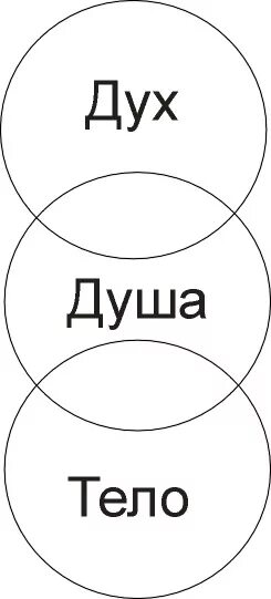 Книги дух душа. Дух, душа и тело. Человек дух душа тело. Триединство дух душа тело. Дух душа и тело схема.