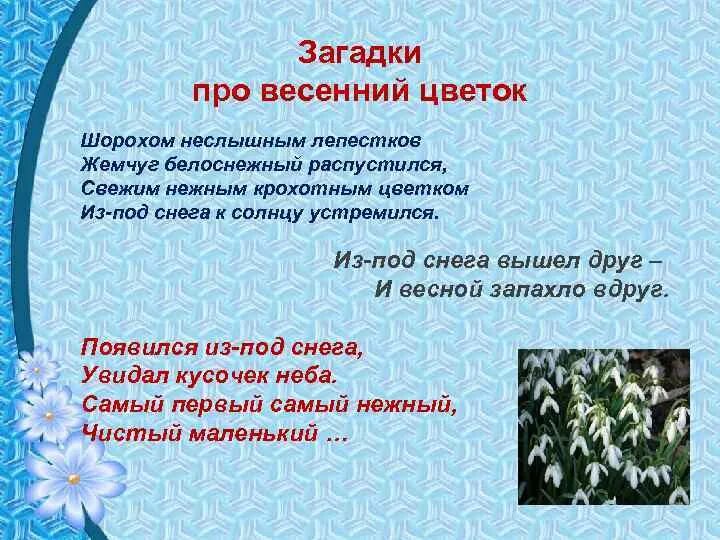Подснежник цветок описание. Подснежник какой прилагательные. Подснежники презентация для начальной школы. Подснежник описание. Подснежник какой прилагательные.
