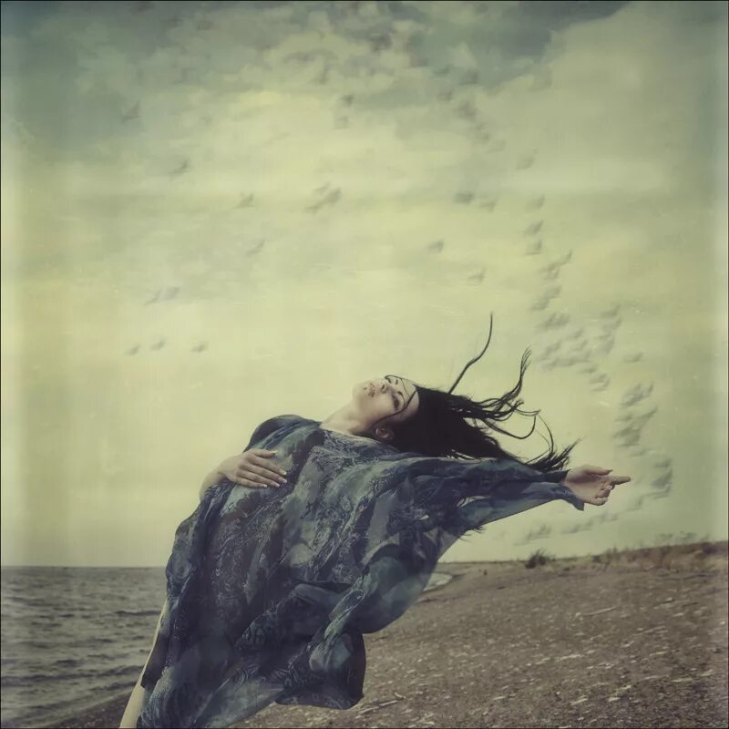 Сквозь все ветра. Девушка на ветру. Девушка и сильный ветер. Волосы развеваются на ветру. Человек ветер.