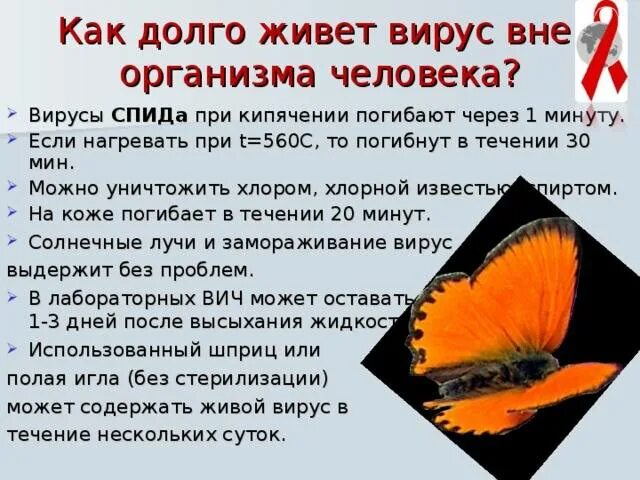 Через какое время погибают вирусы
