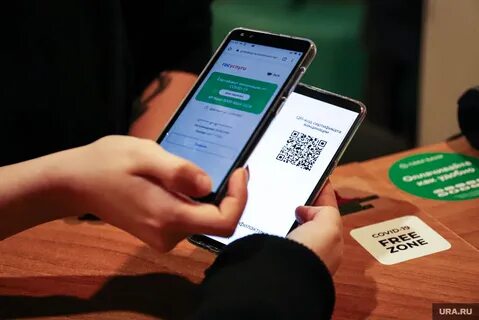 Зона телефон бесплатные