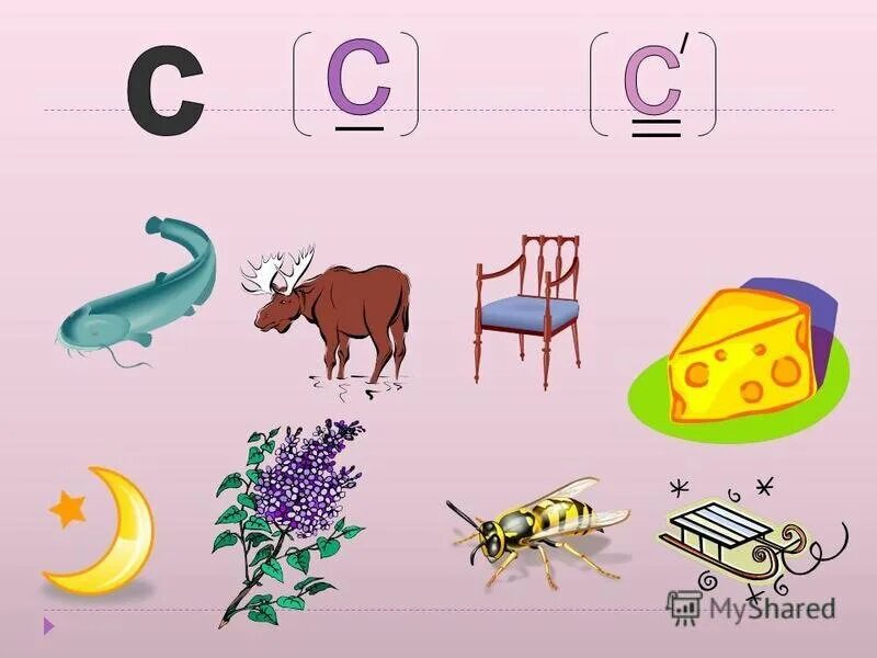 Слова с мягкой з. Буква с звуки с сь. Звуки буква с и сь для дошкольников. Предметы со звуком сь. Различение звуков с и сь.