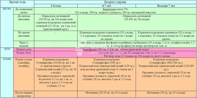 Можно ли обрабатывать деревья мочевиной. Схема внесения удобрений для плодовых деревьев и кустарников. Таблица весенней подкормки плодовых деревьев. Удобрение плодовых деревьев схемы внесения. Таблица подкормки деревьев весной.