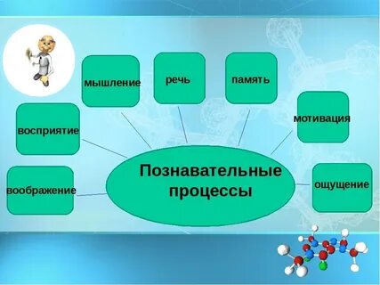 Память 6 мышление и речь
