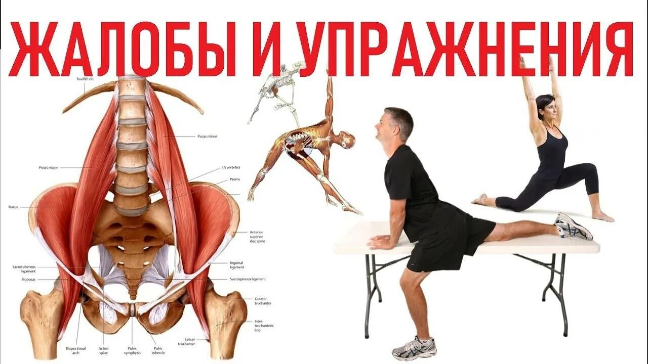 Как растянуть поясничную мышцу
