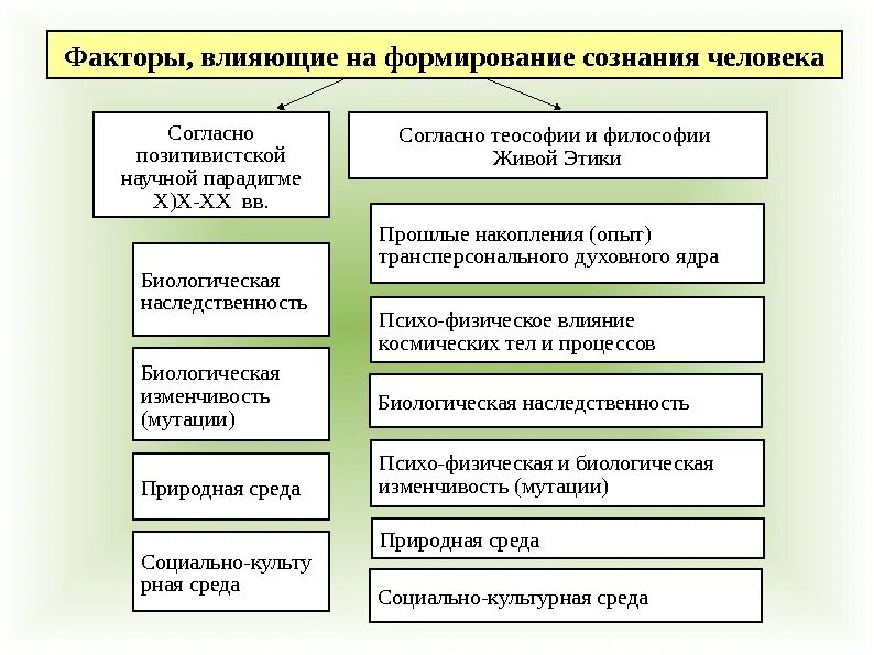 Под влиянием каких факторов формируется