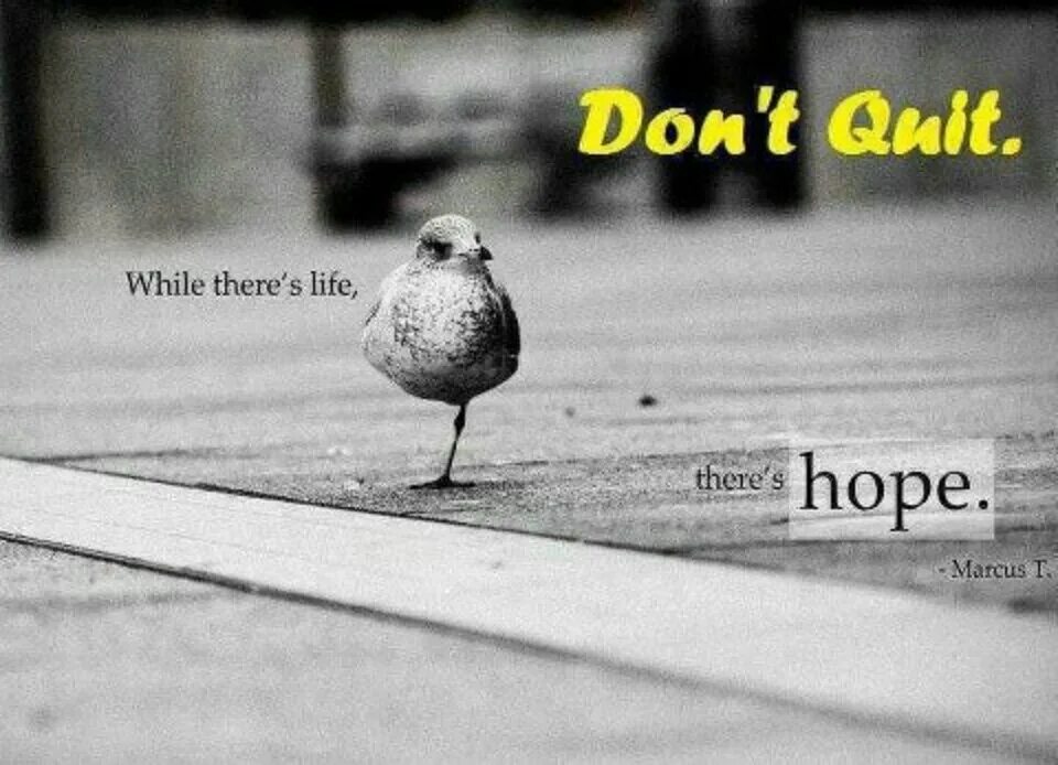 Where there's Life, there's hope. Hope in Life. Hopeful picture. Hope picture.