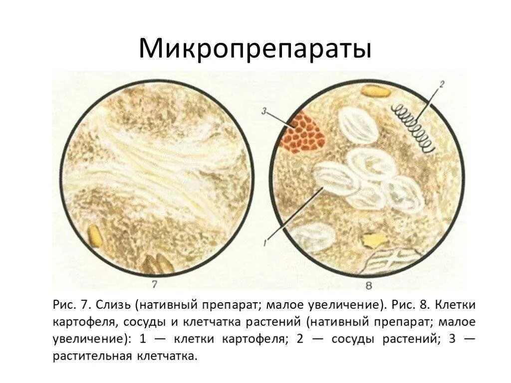 Копрограмма метод