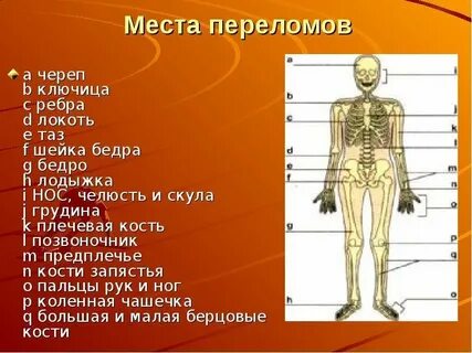 Место перелома