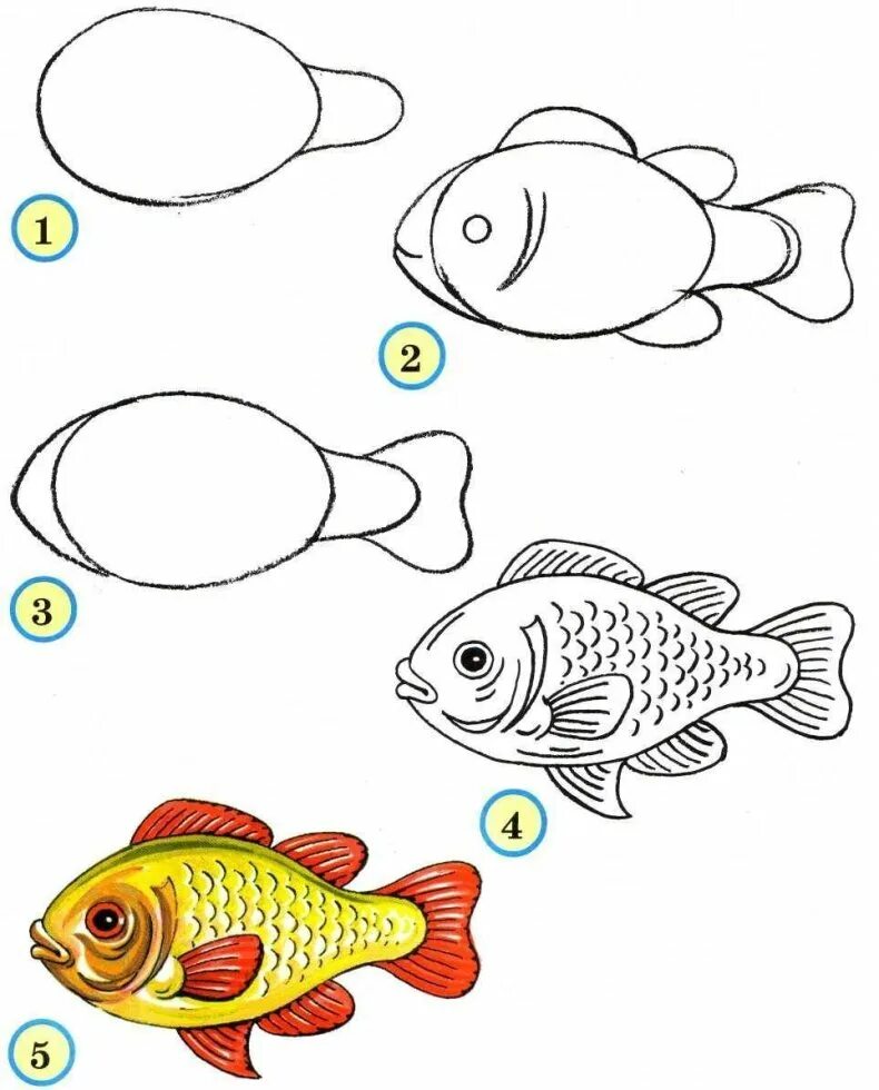 Рисование рыбки. Рисование для детей. Этапы рисования рыбки для детей. Поэтапные рисунки для детей. Покажи как поэтапно нарисовать