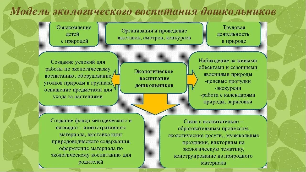 Содержание и воспитание детей в учреждениях. Экологическое воспитание дошкольников. модель экологического образования дошкольников. этапы экологического воспитания дошкольников. экологическое воспитание старших дошкольников.
