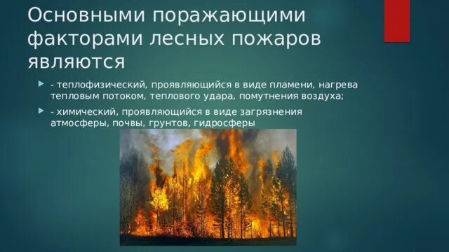 Пожар в лесу какой фактор. Поражающий фактор лесного пожара. Факторы лесных пожаров. Поражающие факторы природных пожаров. Природные факторы пожара.