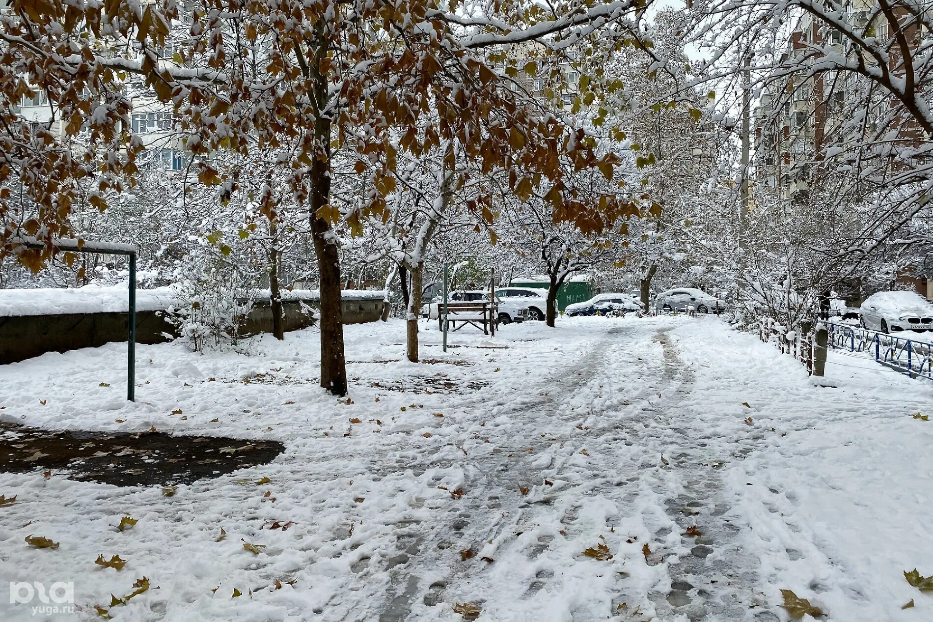 Снег в Краснодаре. Снегопад в Краснодаре. Снежный Покров в Краснодаре. В Краснодаре выпал снег. Выпал снег песня слушать