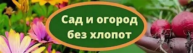 Дача сад и огород без забот и без хлопот. Огород без хлопот. Сад без хлопот. Огород без хлопот надпись.