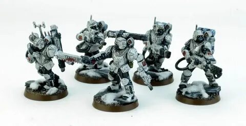 Tempestus scions