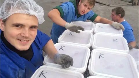 Вахтовый метод работы камчатка