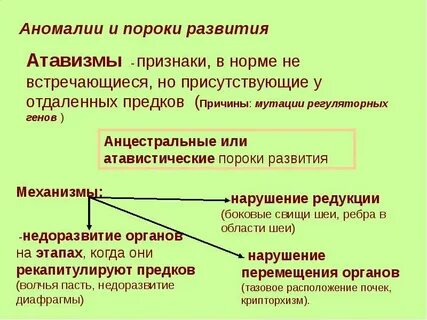Аномалия и порок развития