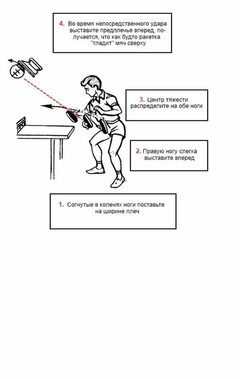 Основные положения теннисиста в настольном теннисе. Техника выполнения наката справа в настольном теннисе. Настольный теннис приемы техники и тактика. Накат справа в настольном теннисе. Какая подача в настольном теннисе