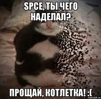 Это ты что наделала