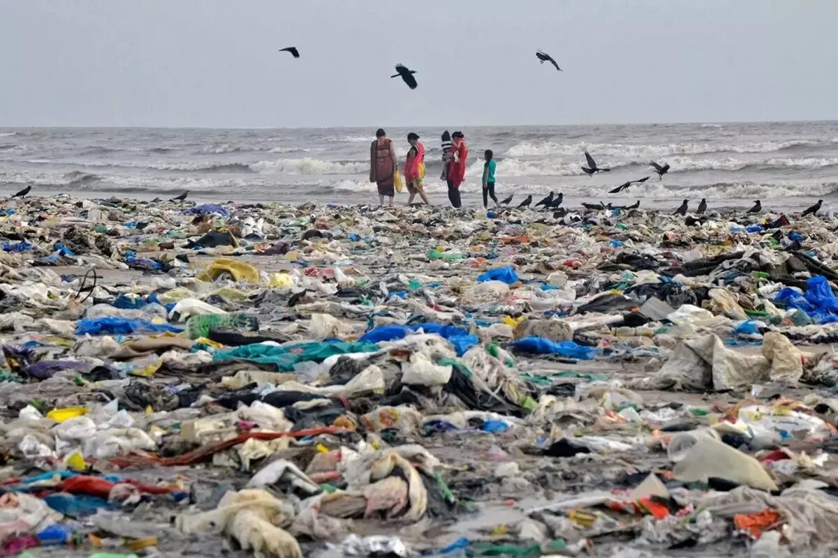 Загрязнение пластиком. Засорение океана. Убило мусоркой