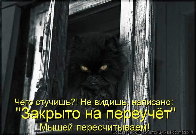 Ничего не видевший как пишется. Закрыто на переучет. Переучет юмор. День переучета. Закрыто на переучет картинки.