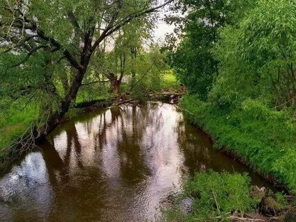 Запах реки