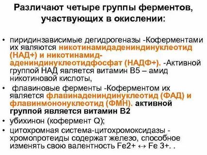 Какую роль в составе фермента играют коферменты
