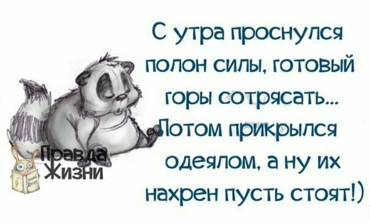 Правда жизни доброе утро. Правда жизни картинки. Ты проснулся. С утра проснулся полон силы. Чуть не проспал